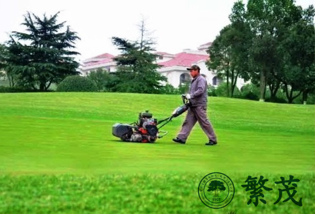 高爾夫球場(chǎng)草坪專(zhuān)業(yè)養(yǎng)護(hù)管理案例